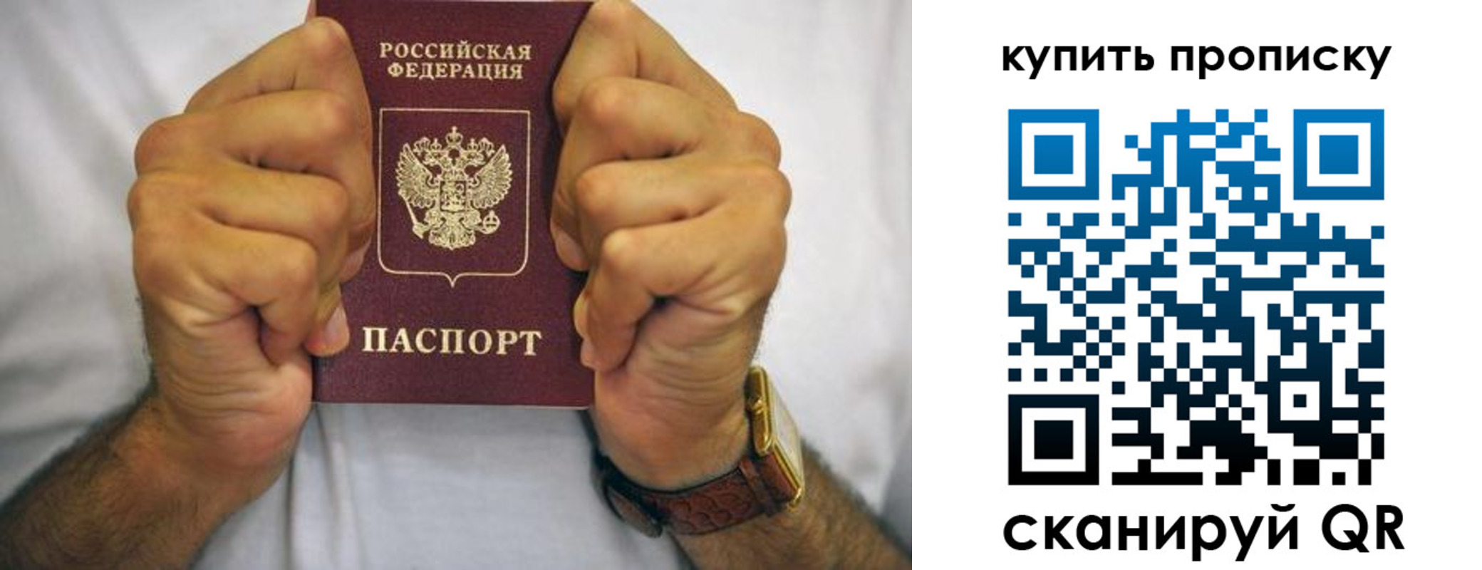 пропишу в квартире в Красном Куте
